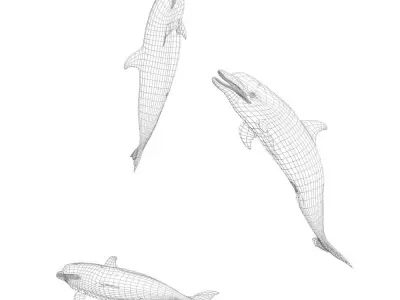 Happy dolphins - animated 3D model