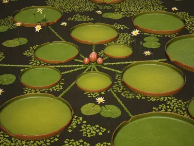 Water Plants and Flowers Low-poly 3D model