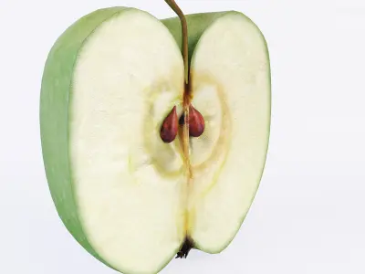 Apple Sliced 3D model