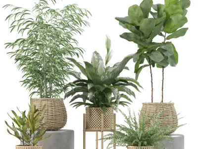 20 Photorealistic Flowers for Interiors - set 211 214 218 219 3D Model Collection