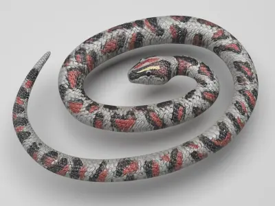 Rubber Snake 3D model