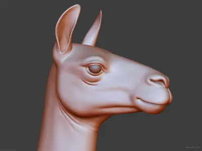 Llama - Highpoly Sculpture 3D model