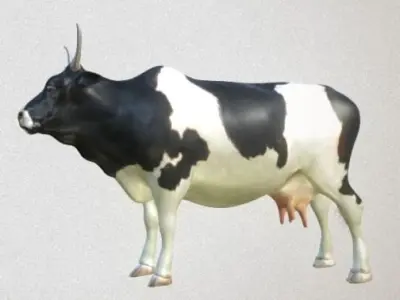 cow high-poly with long horns 3D model