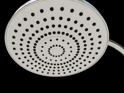 shower head and hand held 3D model