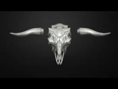 Traditional Bull Scull Scary Bull Scull Decor on wall 3D print model