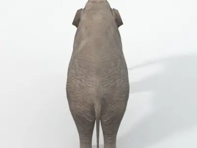 Elephant Low-poly 3D model 2