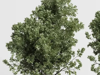 outdoor plant set 152 plant tree grass vase dirty concrete Low-poly 3D model