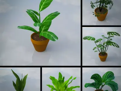 Lowpoly Indoor Plants Pack Low-poly 3D model
