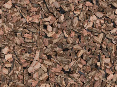 Mulch of pine bark 3D model