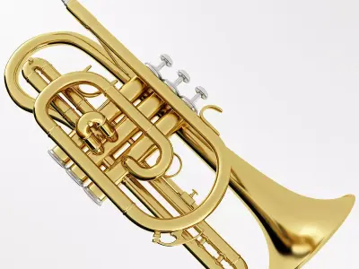 Cornet gold trumpet 3D model
