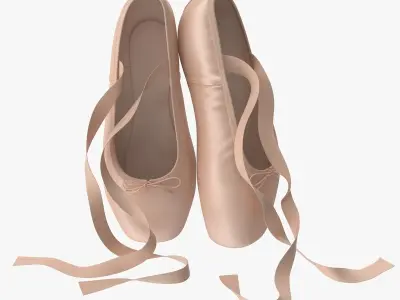 Ballet Shoes - Resting Low-poly 3D model
