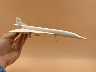 Airplane Concorde Scale 1 200  3D print model