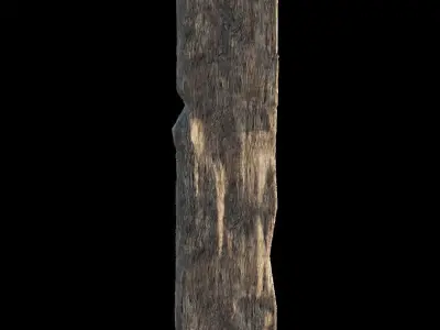 wooden plank Free 3D model