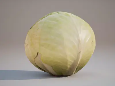 Low Poly 3D Cabbage model Game ready 4K PBR Textures UE Low-poly 3D model