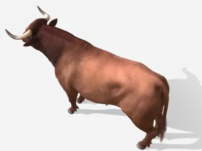 Bull realistic Low-poly 3D model