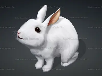 WHITE RABBIT ANIMATED Low-poly 3D model