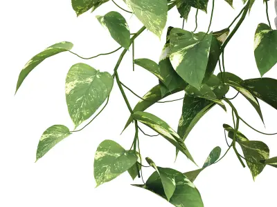 Greek Sculpture Planter Vol 334  3D model