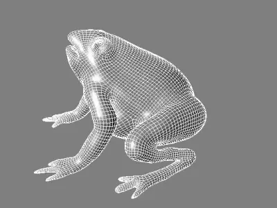 toad 3d frog Low-poly 3D model
