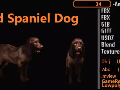 Field Spaniel Dog Low-poly 3D model