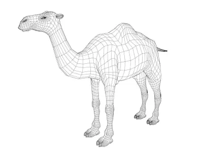 Camel 3D model