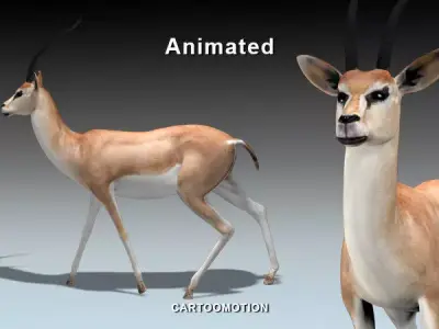 GAZELLE two animated antelopes Low-poly 3D model