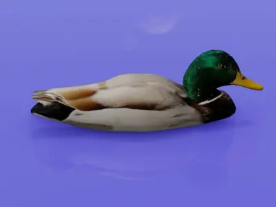 Duck 3D model floating in water Low-poly 3D model