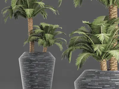 Plants Collection 187 Palm 3D model