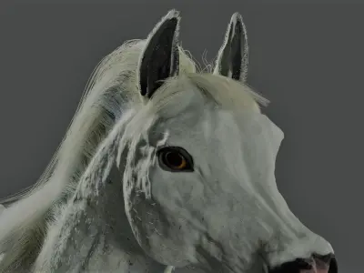 Horse with Mane Game Ready animal model Low-poly 3D model
