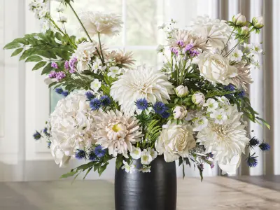 Flower Set 068 dahlia rose chrysanthemum hydrangea 3D model