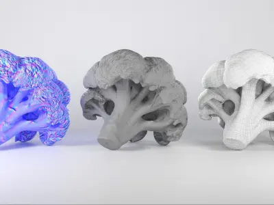 Cob of broccoli 27 Low-poly 3D model