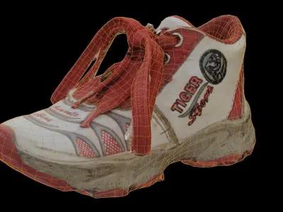 shoes 3d Modal Scan Low-poly 3D model