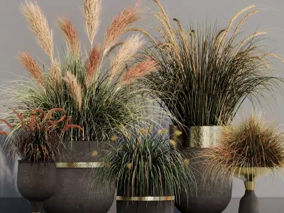 INDOOR PLANT SET 10 3D model