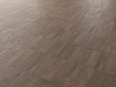 Parquet Oak Missisippi Wild Wood set 3 3D model