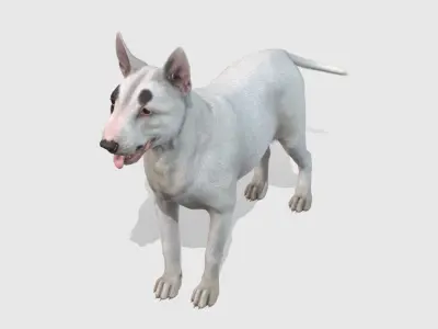 Dog - Bull Terrier Low-poly 3D model