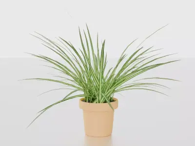 Indoor plants for decoration Low-poly 3D model