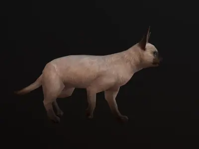 animated siamese cat Low-poly 3D model