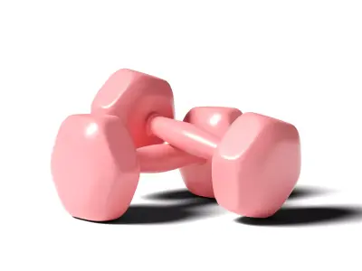 Dumbbell two silver dumbbells 3D model