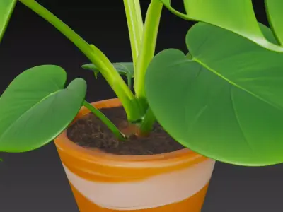 Realistic 3D Monstera Plant in Striped Terracotta Pot 3D model