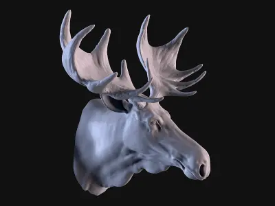Moose Head 3D print model