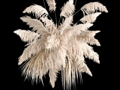 Hanging Bouquet Of Dry Reeds For Decoration 2 3D model