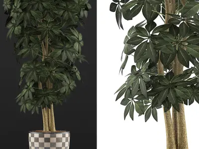 Plants Collection 79 3D model