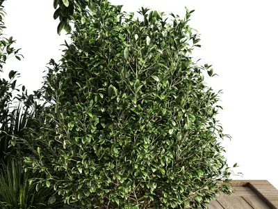 Garden set bush and Tree Set07 3D model