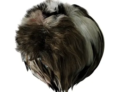 Hungarian Greyhound Magyar AgaR Dog Low-poly 3D model