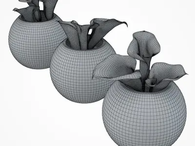 Callas small 3D model