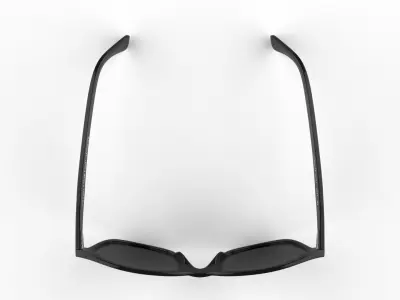 Sunglass Wayfarer Vincent Chase 3D model