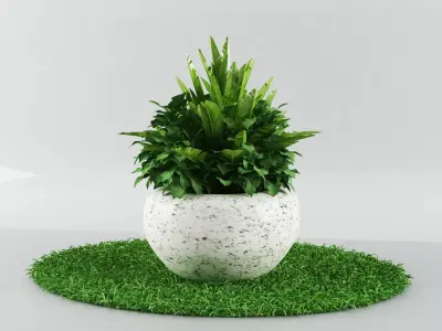 garden plants Free low-poly 3D model