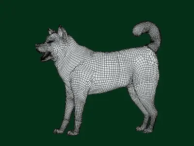 Kishu Inu Japan Dog Breed  3D model