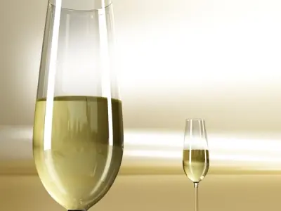 6 Wine glass Collection 3D model