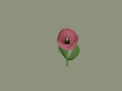 Tulip 3D model