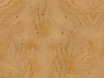 VR 210 socci 3D model